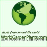 Grown in England World Garden Plants 3