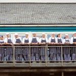 Grown in England Fifteen 3