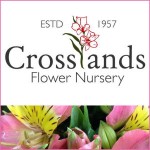 Grown in England Crosslands Flower Nursery 4 Grown in England Crosslands Flower Nursery 4