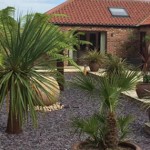 Grown in England Evergreens Garden Centre 1