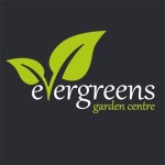 Grown in England Evergreens Garden Centre 4 Grown in England Evergreens Garden Centre 4