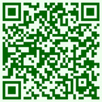 Grown in England Evergreens Garden Centre 5