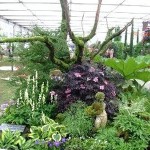 Grown in Wales Farmyard Nurseries 1