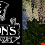 Grown in England Blackmore & Langdons 1