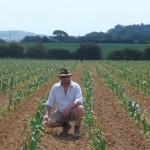 Grown in England South West Garlic Farm 2