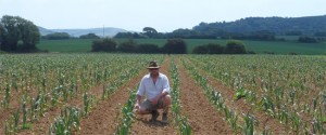 Grown in England South West Garlic Farm 2