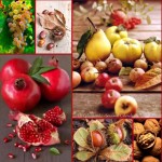 Grown in England Wales Scotland Ireland France 3