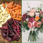 Grown in England Wales Scotland Ireland France 8