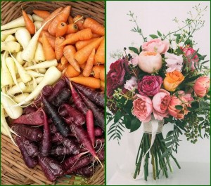 Grown in England Wales Scotland Ireland France 8