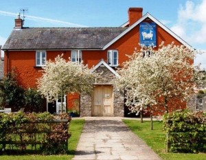 Grown in Wales Felin Fach Griffin 1