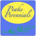 Grown in England Peake Perennials 1