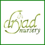 Grown in England Dryad Nursery 4