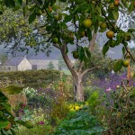 Grown in the UK Aberglasney Nigel McCall Guardian 1