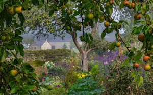 Grown in the UK Aberglasney Nigel McCall Guardian 1