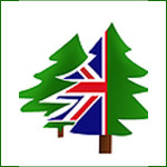 Grown in England British Christmas Tree Company 1