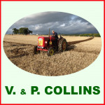 Grown in England V&P Collins 1
