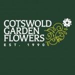 Grown in England Cotswold Garden Flowers