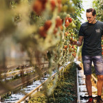 Grown in England Greenhouse Growers 5