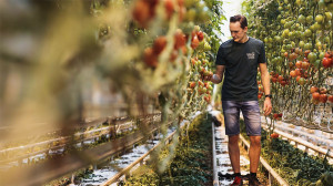 Grown in England Greenhouse Growers 5