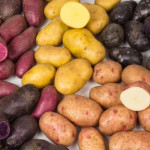 Grown in England Heritage Potatoes 1