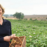Grown in England Heritage Potatoes 4