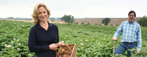 Grown in England Heritage Potatoes 4