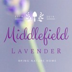 Grown in England Middlefield Lavender 1