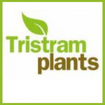 Grown in England Tristram Plants 1