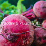 Grown in England Whitehall Garden Centre 2