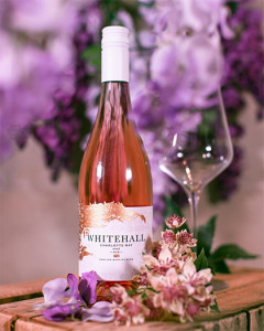 Grown in England Whitehall Vineyard 3