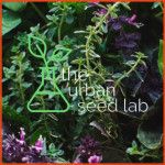 Grown in Wales Urban Seed Lab 1