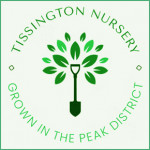 Tissington Nursery 2
