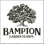 Grown in England Bampton Garden Plants 1