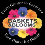 Grown in England Baskets and Blooms 5