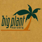 Grown in England Big Plant Nursery 1