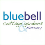 Grown in England  Bluebell Cottage Gardens & Nursery 1