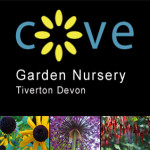 Grown in England Cove Garden Nursery 1