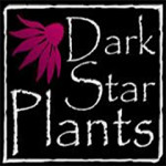Grown in England  Dark Star Plants 1