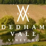 Grown in England Dedham Vale Vineyard 1