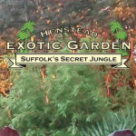 Grown in England Henstead Exotic Garden 4