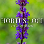 Grown in England Hortus Loci 5
