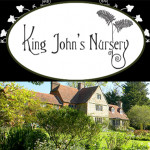 Grown in England King John’s Nursery 2