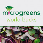 Grown in England Microgreens 2