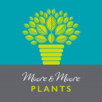 Grown in England Moore & Moore Plants 1