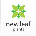 Grown in England New Leaf Plants 1