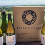Grown in England Ovens Farm Vineyard 1