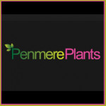 Grown in England  Penmere Plants 1
