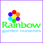Grown in England Rainbow Garden Nurseries 1