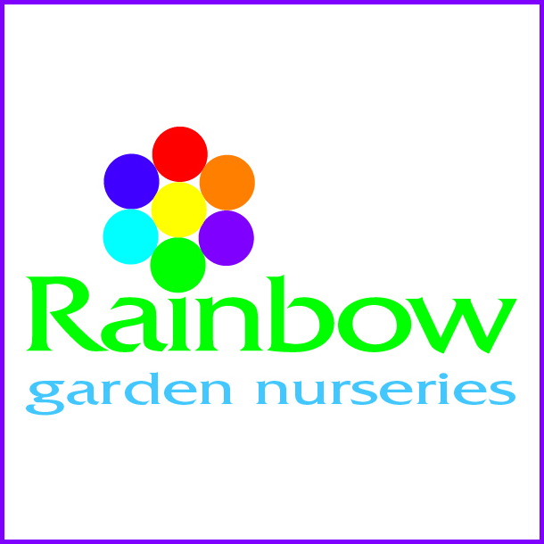 Rainbow Garden Nurseries Grown In England