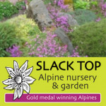 Grown in England  Slack Top Alpine Nursery 5
